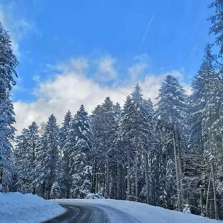 Konfuzius-haus Hostel Bernau im Schwarzwald