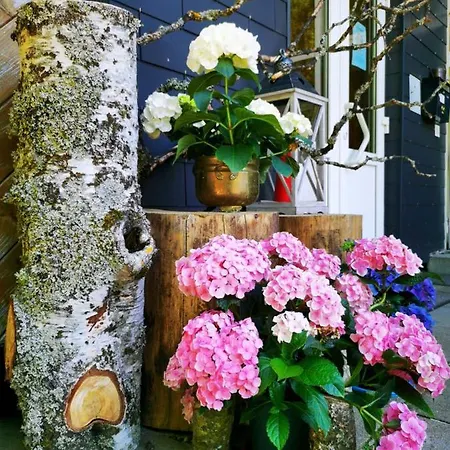 Hostel Konfuzius-haus Bernau im Schwarzwald
